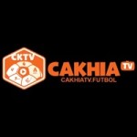 Аватар профиля cakhiatvfutboll